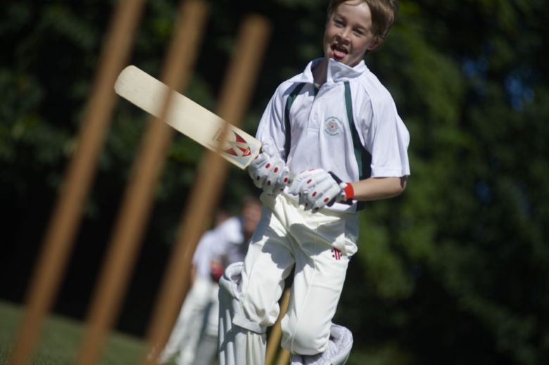 Prep cricket